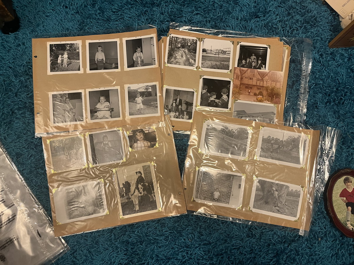Album pages of black-and-white snapshots, each page in a clear archival sleeve, fanned on a table.